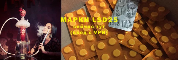 a pvp Аркадак