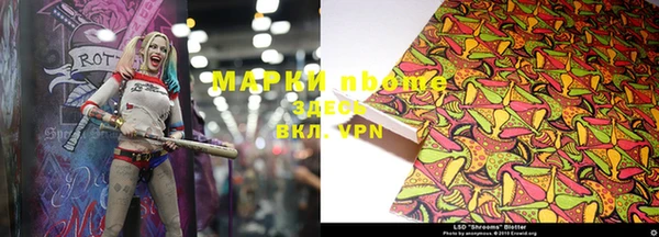 a pvp Аркадак