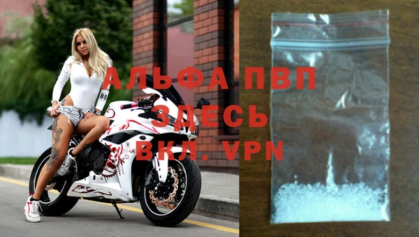 a pvp Аркадак