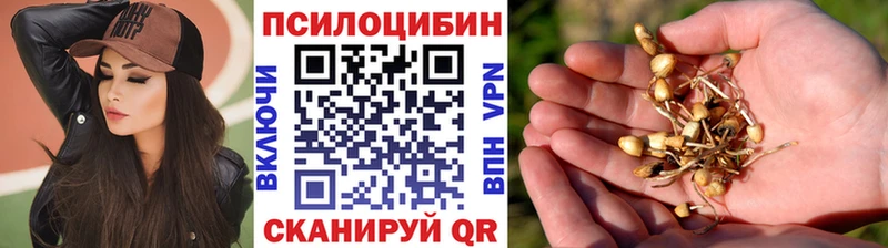 цена наркотик  Саратов  Галлюциногенные грибы MAGIC MUSHROOMS 